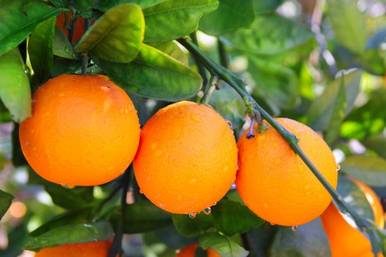 Pitääkö hedelmien sisältämää fruktoosia vältellä?