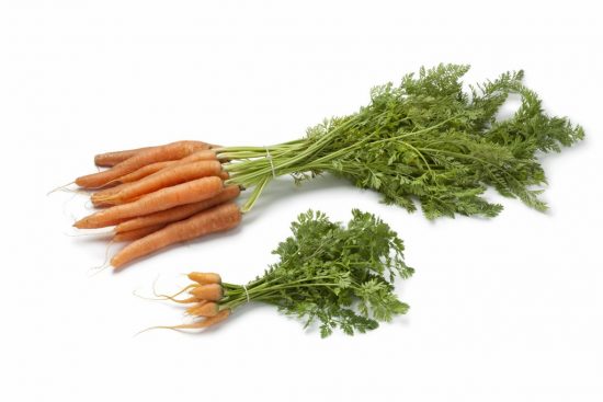 Juuresviikko: Porkkana