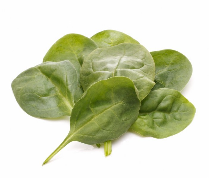Pinaatti Satokausikalenteri