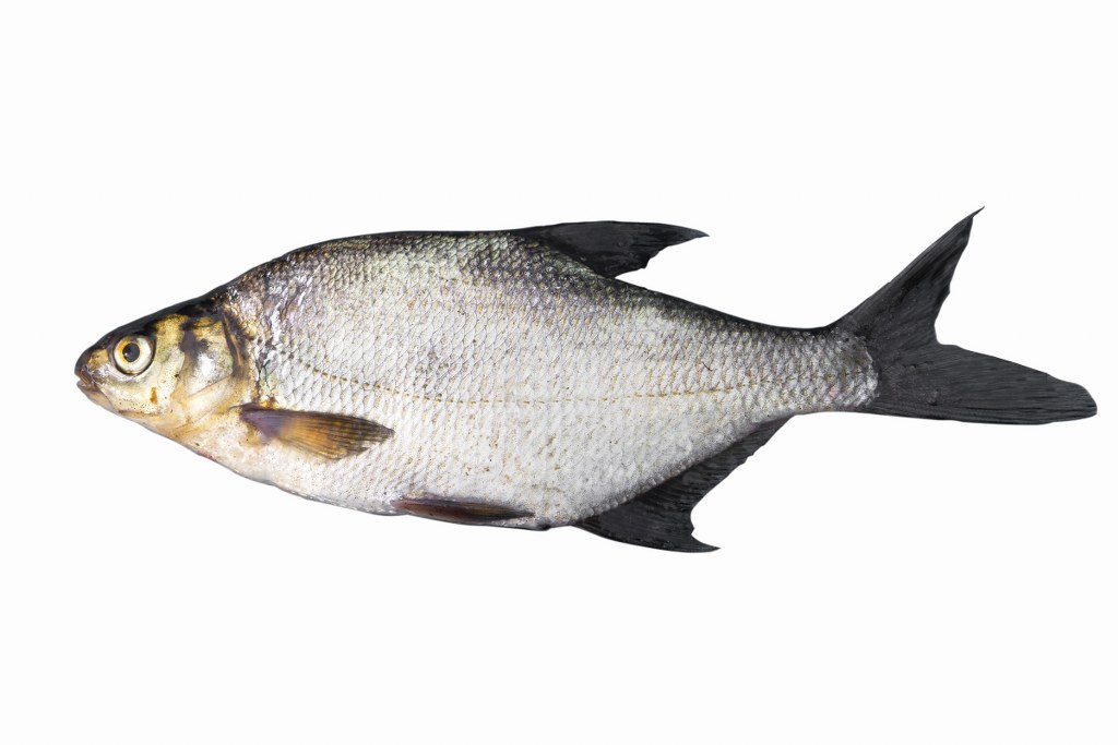 Lahna Satokausikalenteri Lahna Satokausikalenteri