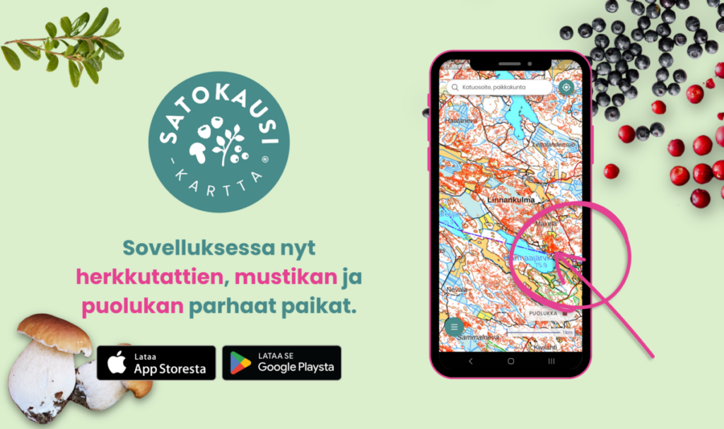 Satokausi®-kartta paljastaa Suomen parhaat mustikka-, puolukka- ja tattipaikat